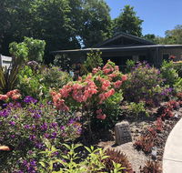 Paradise Retreat - Sunshine Coast Tourism