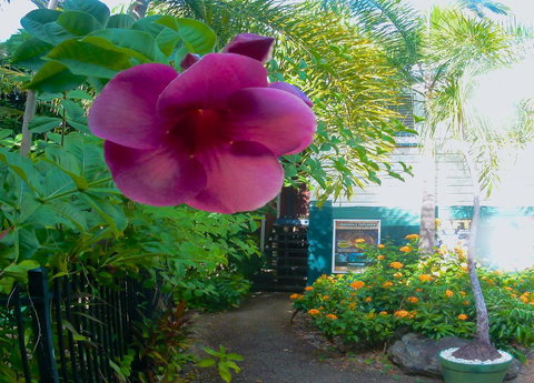 Paradise Travellers Rest - Sunshine Coast Tourism 1