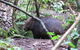 Paradiso Kinglake - thumb 2