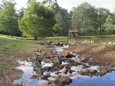 Paradiso Kinglake - Sunshine Coast Tourism 3
