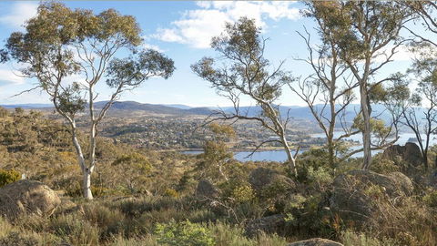 Peak View House - Sunshine Coast Tourism 3