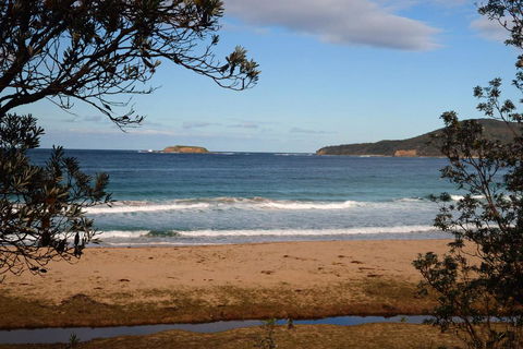 Pebbly Beach Shacks - Holiday Sunshine Coast 0