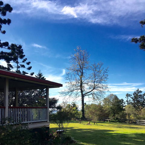 Pechey Homestead - Sunshine Coast Tourism 3
