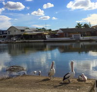 Pelican Cove Apartments - Sunshine Coast Tourism