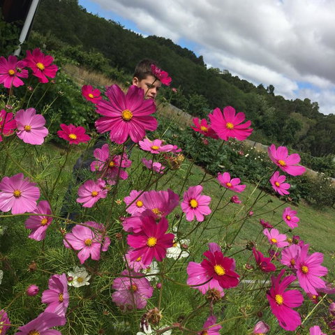 Pennyroyal Otways Retreat - Holiday Sunshine Coast 3