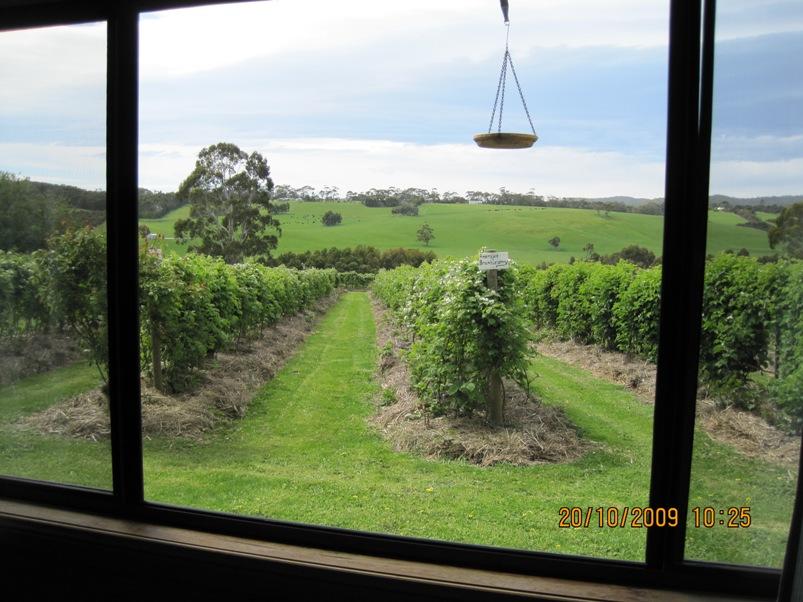Murroon VIC Sunshine Coast Tourism