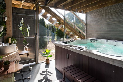 Phoenix - Sunshine Coast Tourism 1