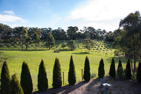 Phoenix - Sunshine Coast Tourism 3