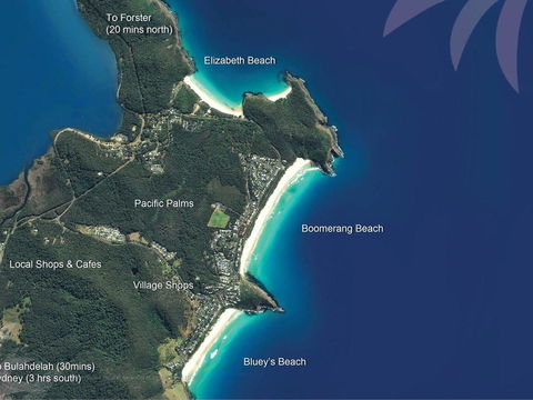 Picture Perfect Lizzie Palms 2 - Sunshine Coast Tourism 3