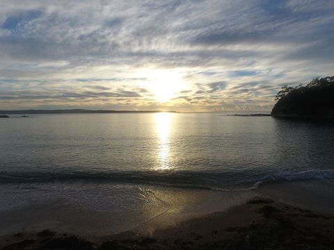 Pleasurelea Tourist Resort & Caravan Park - Sunshine Coast Tourism 3