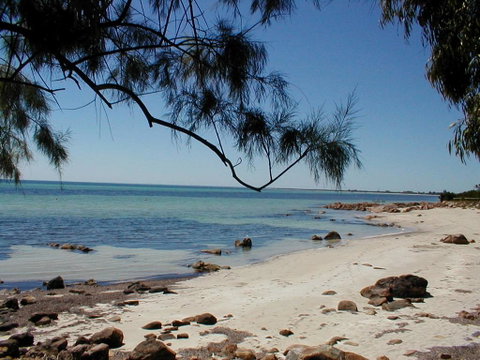 Purple Patch - Sunshine Coast Tourism 1