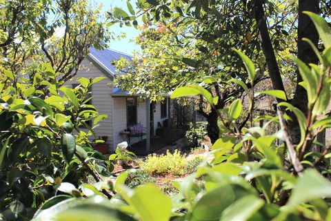 Quince Cottage - Holiday Sunshine Coast 2