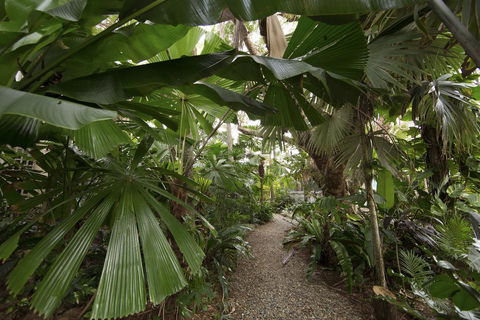 Rainforest Castaways Resort And Spa - Sunshine Coast Tourism 1