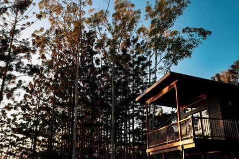 Rainforest Gardens - Luxury Hillside Chalets With Views To Bay & Islands - Holiday Sunshine Coast 2