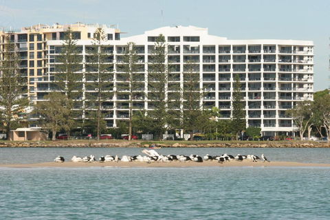 Ramada Golden Beach Unit 506 - Sunshine Coast Tourism 1