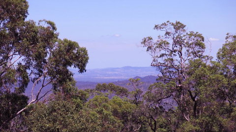 Ravensbourne Escape - Cedar Lodge - Sunshine Coast Tourism 0