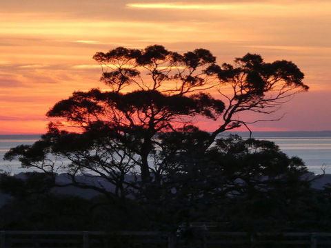 Red Hill Ridge - Sunshine Coast Tourism 1