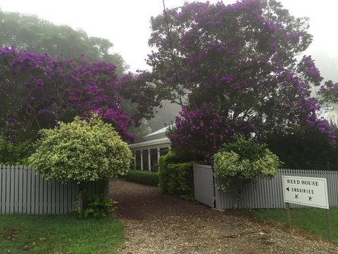 REED HOUSE At Maleny-The White Pavilion - Holiday Sunshine Coast 0