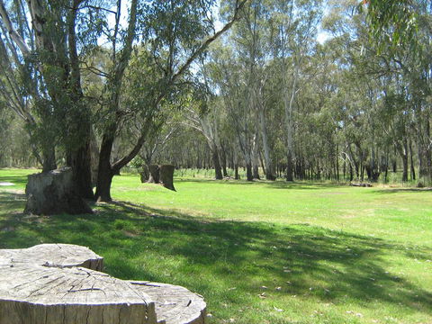 Rivergum Holiday Park - Holiday Sunshine Coast 2