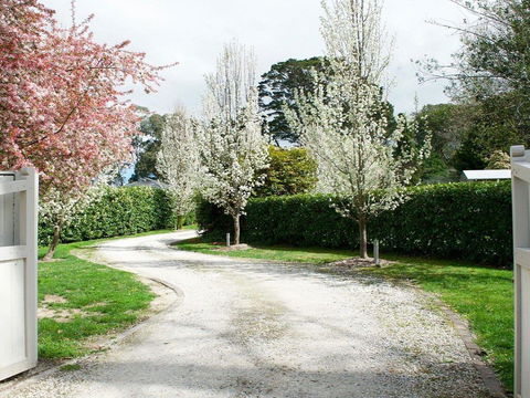 Robin Hill Manor - Rambling Retreat & Tennis Court - Holiday Sunshine Coast 0