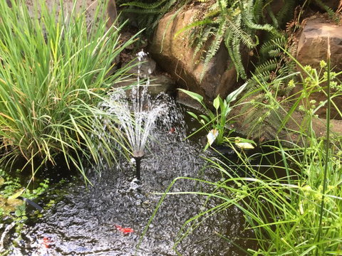 Rocky Rest - Sunshine Coast Tourism 3