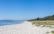 Rosebud Beach Babe - thumb 0