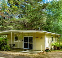 Russell Falls Holiday Cottages - Holiday Sunshine Coast