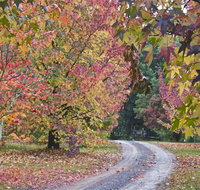 Rustic Spirit - Sunshine Coast Tourism