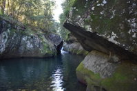 Book Salisbury Accommodation Vacations Sunshine Coast Tourism Sunshine Coast Tourism