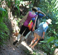 Sanctuary Retreat - Holiday Sunshine Coast