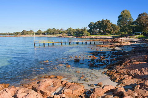 Sandbar - Holiday Sunshine Coast 2