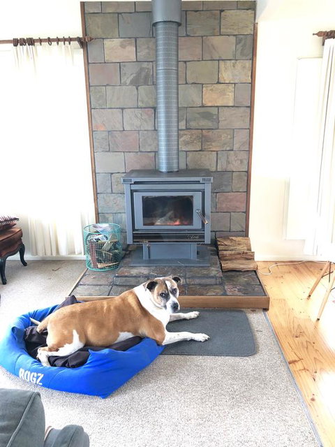 Sapphire Cottage - Holiday Sunshine Coast 3