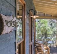 Scribbly Gum - Sunshine Coast Tourism