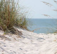 Seas The Day - Sunshine Coast Tourism