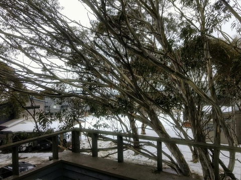 Secret Hut - Sunshine Coast Tourism 1