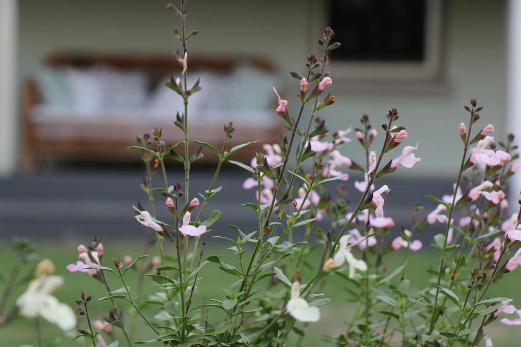 Allynbrook ACT Holiday Sunshine Coast