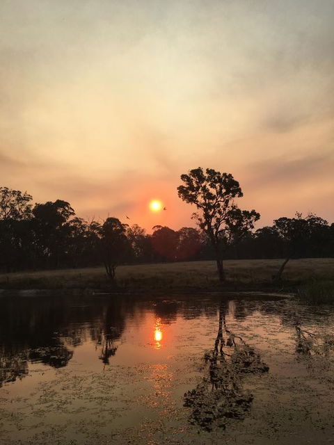 Serenity On Stanthorpe - Sunshine Coast Tourism 2
