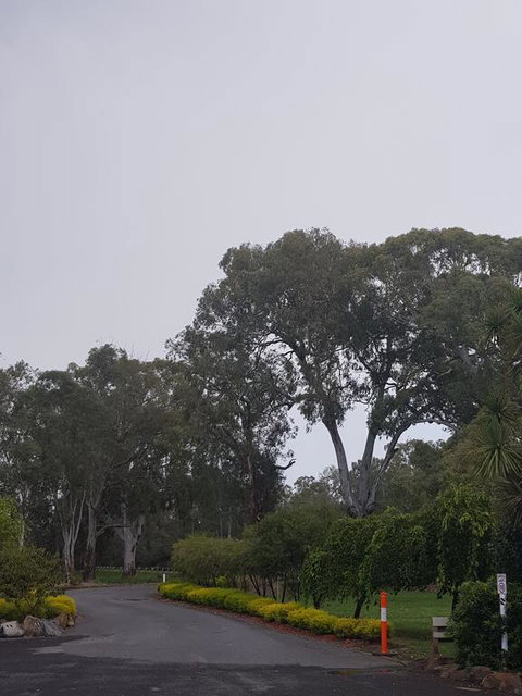 Seymour Motel - Sunshine Coast Tourism 3