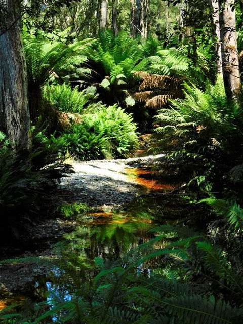 Shakespeare's Wilderness Chalet - Sunshine Coast Tourism 3