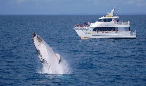 Shelly Beach Motel - Holiday Sunshine Coast 0