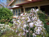 Shelton-Lea Bed  Breakfast