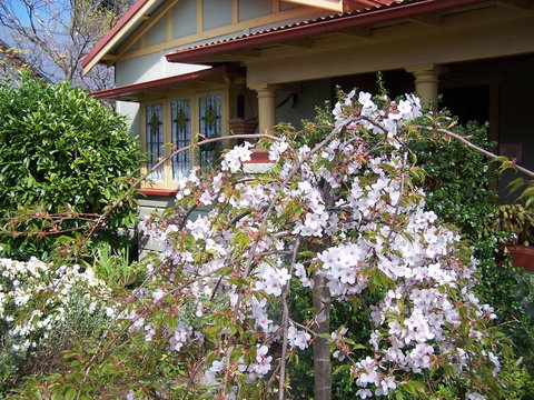 Shelton-Lea Bed & Breakfast - Holiday Sunshine Coast 0