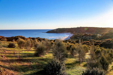 Sheoaks - Holiday Sunshine Coast 1