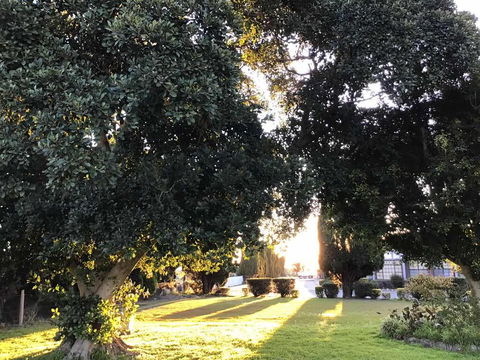 Sir Francis Drake - Holiday Sunshine Coast 2