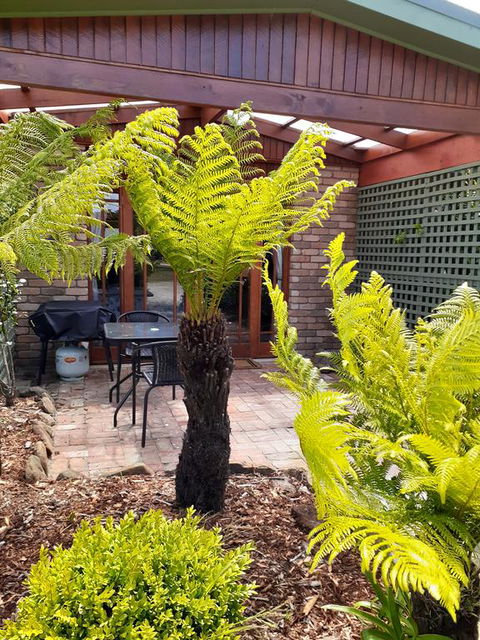 Sleepy Hollow Hideout (Hidout 2) - Holiday Sunshine Coast 1