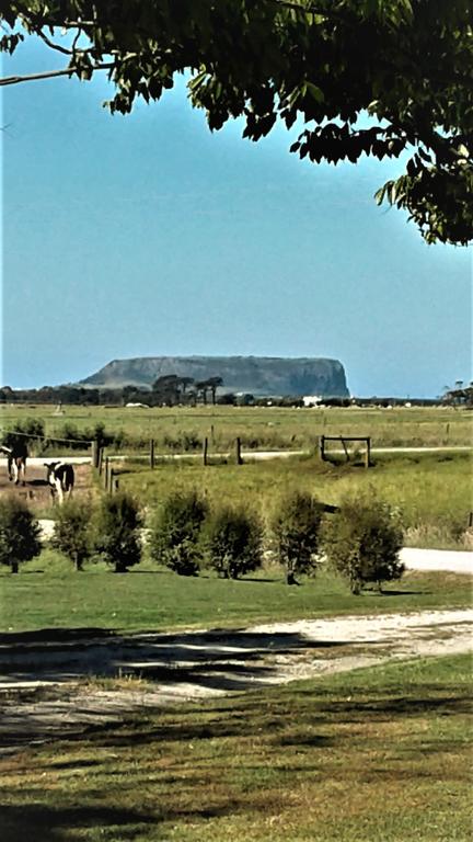 Sleepy Hollow Hideout - Hideout 1 - Sunshine Coast Tourism 3