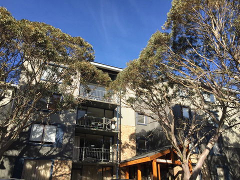 Snowflake 12 - Sunshine Coast Tourism 0