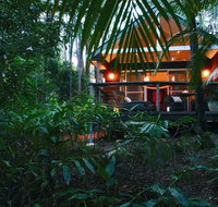 Songbirds Rainforest Retreat - Sunshine Coast Tourism