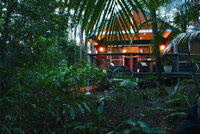 Book Mount Tamborine Accommodation Vacations Sunshine Coast Tourism Sunshine Coast Tourism