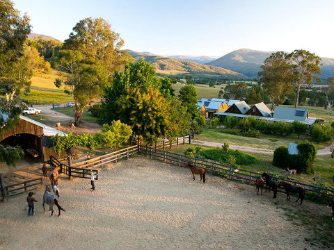 Spring Spur - Sunshine Coast Tourism 3